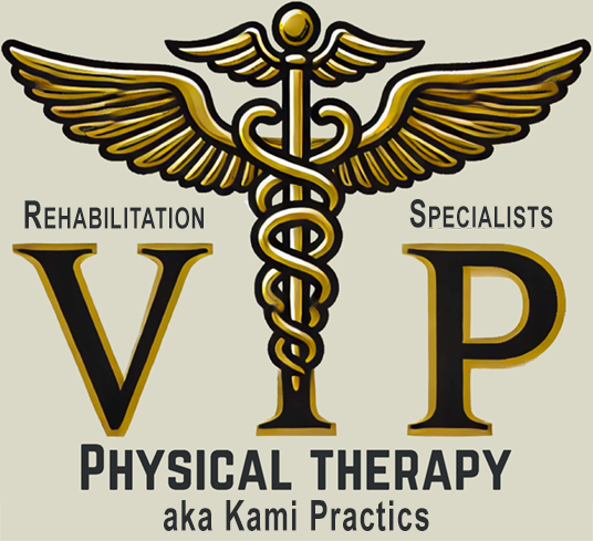 VIP Physical Therapy